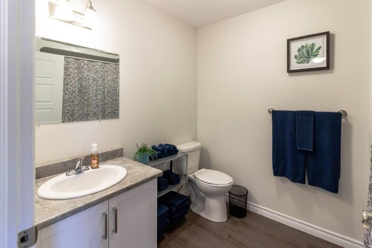 Newly Renovated Modern Condo Near Hospital, Unb Patio & Parking Coffee セント・ジョン エクステリア 写真