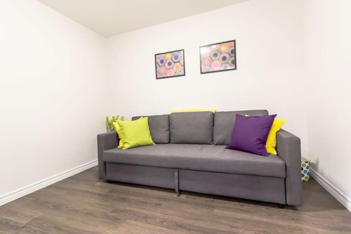 Newly Renovated Modern Condo Near Hospital, Unb Patio & Parking Coffee セント・ジョン エクステリア 写真