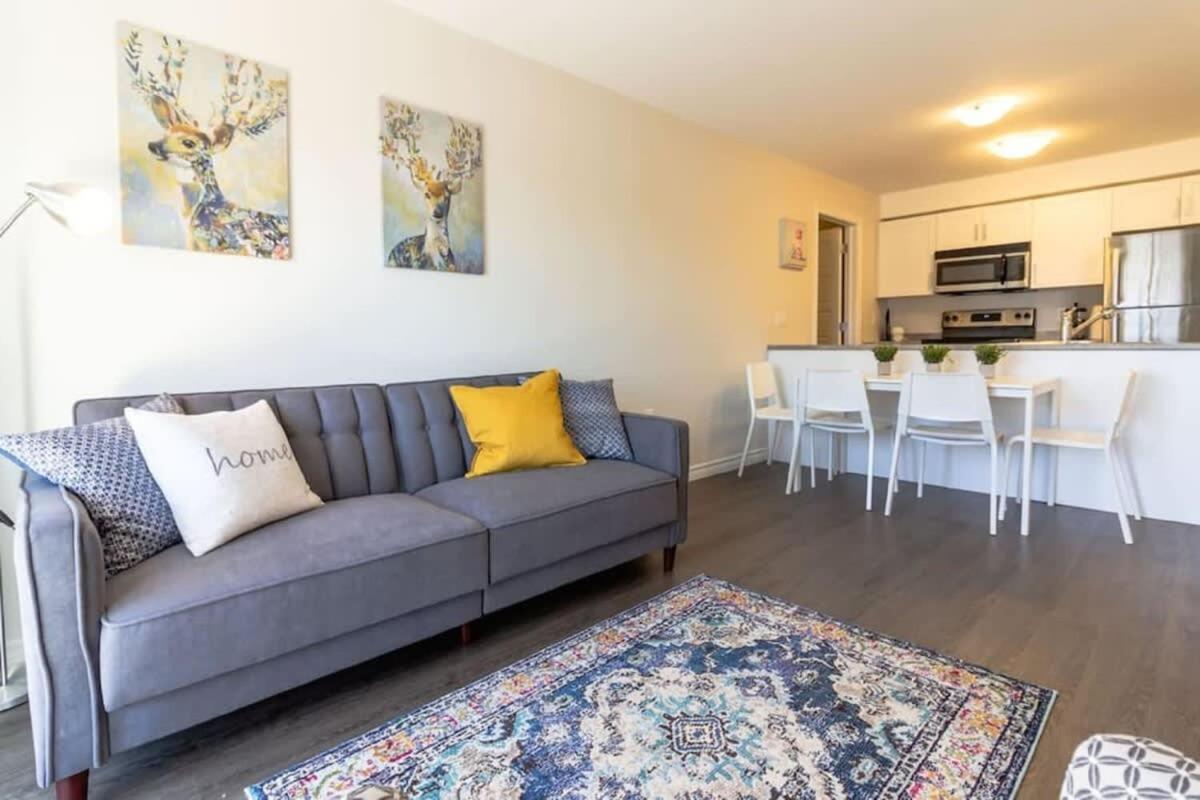 Newly Renovated Modern Condo Near Hospital, Unb Patio & Parking Coffee セント・ジョン エクステリア 写真